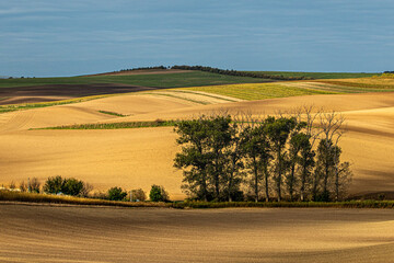Jesień na Morawach © Krzysztof