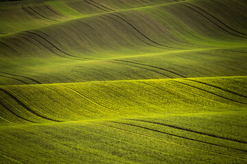 Jesień na Morawach © Krzysztof