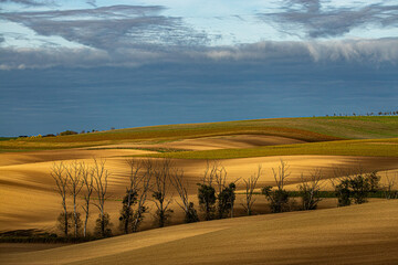 Jesień na Morawach © Krzysztof