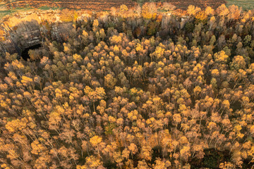 Dramatic aerial drone landscape image of Autumn Fall forest in misty morning in Peak District during peak colour
