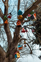 Colorful bird nests lined up on a tree.
