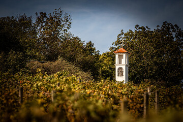 Jesień na Morawach © Krzysztof