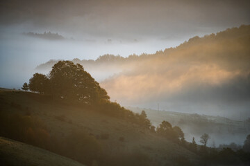 misty morning in the mountains of slovakia