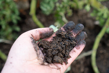 Nahaufnahme von Pflanzenkohle (Biochar) mit Terra Preta zur Bodenverbesserung im Garten und in der Landwirtschaft