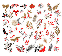 Set of handmade Christmas decorative plant elements © Astraverona