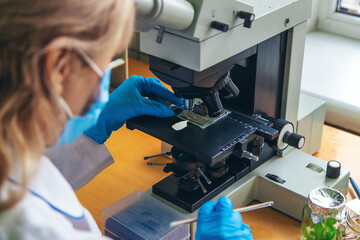 Examine in the laboratory under a microscope. Selective focus.