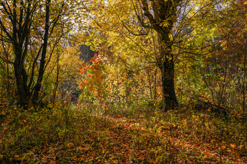 Scenic autumn landscape in Mehedinti Mountains, Carpathians, Romania, Europe. Fall alpine landscape in the mountains	