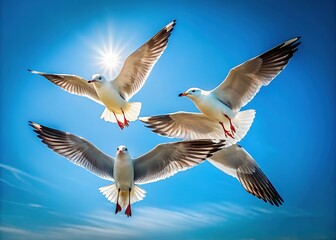 Fototapeta premium Minimalist portrayal of four seagulls in flight formation.