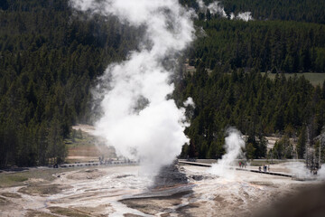 Plume, Beehive, Aurum, and Anemone geyser steaming along the boardwalks on Geyser Hill viewed from Observation Point in the Upper Basin of Yellowstone National Park