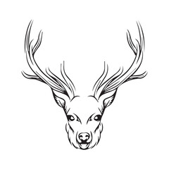 Forest Animal Drawing vector design 