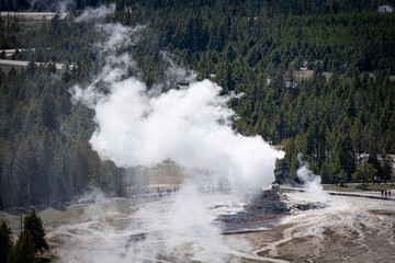 Plume, Beehive, Aurum, and Anemone geyser steaming along the boardwalks on Geyser Hill viewed from Observation Point in the Upper Basin of Yellowstone National Park