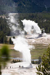 Plume, Beehive, Aurum, and Anemone geyser steaming along the boardwalks on Geyser Hill viewed from Observation Point in the Upper Basin of Yellowstone National Park