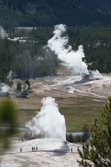 Plume, Beehive, Aurum, and Anemone geyser steaming along the boardwalks on Geyser Hill viewed from Observation Point in the Upper Basin of Yellowstone National Park