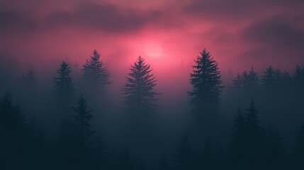 Naklejka premium A misty forest at sunset, with silhouettes of tree against a vibrant pink and purple sky.