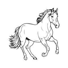 Horse Animal Drawing vector
