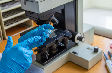 Examine in the laboratory under a microscope. Selective focus.