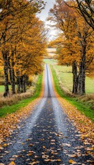 Obraz premium Leafstrewn road in autumn, countryside path lined with old trees, soft golden light, cozy and nostalgic fall scene
