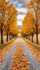 Naklejka premium Leafstrewn road in autumn, countryside path lined with old trees, soft golden light, cozy and nostalgic fall scene
