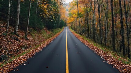 Obraz premium Narrow forest road lined with vibrant fall foliage, rustic charm with scattered leaves, misty morning ambiance, tranquil seasonal beauty
