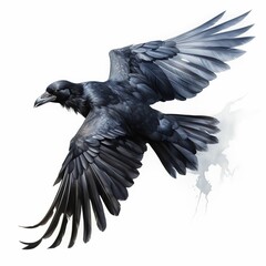 Naklejka premium A black crow with its wings spread out in the air