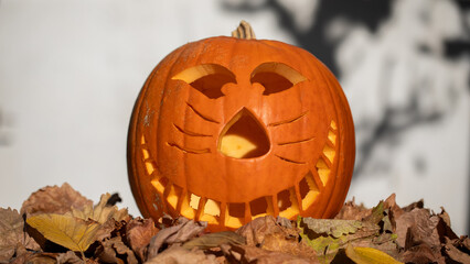 Halloween Kürbis
