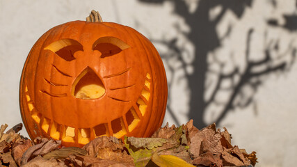 Halloween Kürbis