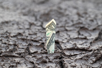 One US dollar banknote in dry soil, concept of strong currency. One American dollar in craked soil,...