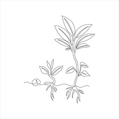 Continuous one line drawing of home plant in a pot tree art design