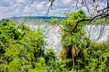 View of vegetation and waterfalls at Iguazu Falls, Misiones, Argentina