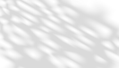 Light and shadow leaf on white background.Natural abstract shadow ,sunlight diagonal refraction on grey concrete wall texture.Vector mockup sunbeams,foliage effect overlay for graphic design layout