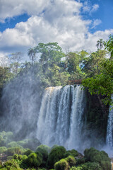 Naklejka premium Waterfalls and trees at Iguazu Falls, Misiones, Argentina