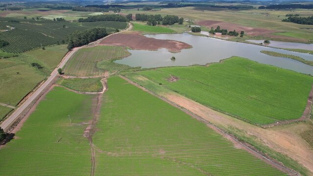 s&atilde;o francisco de paula, brasil, rio grande do sul, 