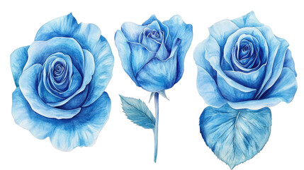 Blue Rose Flowers Watercolor Collection Featuring Hand-Drawn Designs Generative AI
