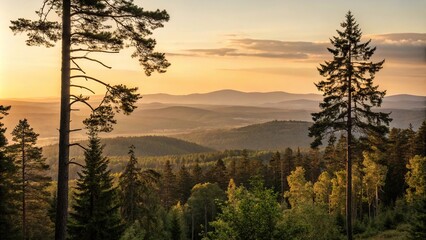 Obraz premium Forest landscape at sunset with trees in the foreground and distant hills, wildlife sanctuary, tree-lined path, forest trail, sunset