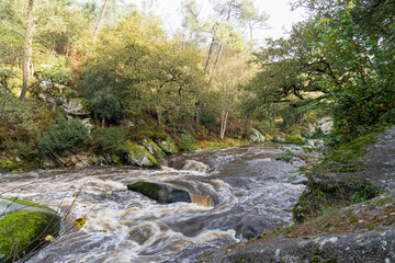 Au cœur de Guilligomarc’h, les Roches du Diable forment un site légendaire, où les eaux tumultueuses et les blocs de granit créent un paysage à couper le souffle.