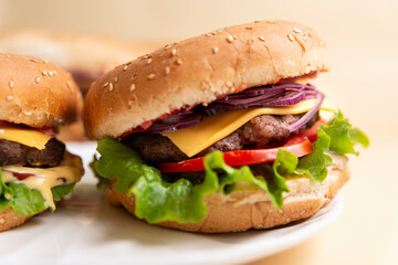 hamburger on a white plate