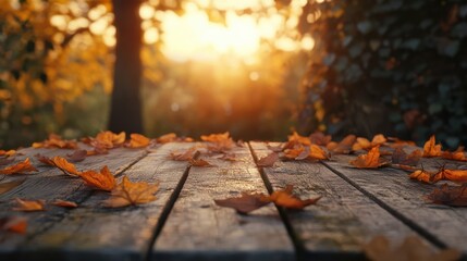 Autumn Table - Orange Leaves And Wooden Plank At Sunset In Forest