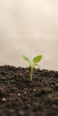 Fototapeta premium Abstract image representing growth and improvement, featuring a plant sprouting and thriving in fertile soil, soil, improvement, nurture