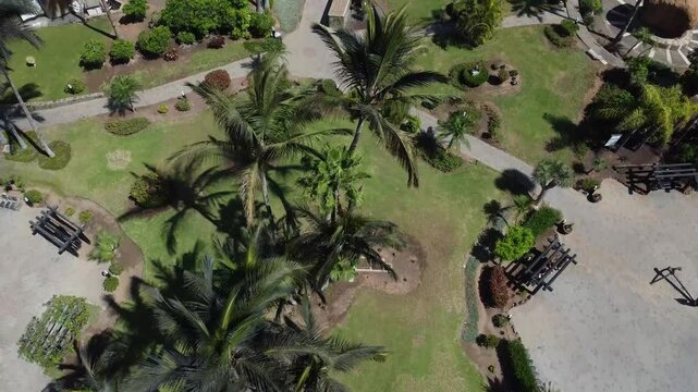 Playa Amfi del Mar drone view
