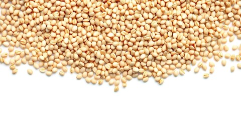 Fototapeta premium Sesame seeds arranged in a neat pile on a clean white background, seeds, cooking, healthy