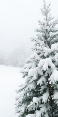 Snow-covered tree in a serene winter landscape with a delicate snowflake gently falling from the sky, chilly, seasonal