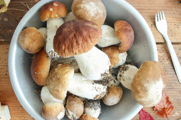 Steinpilze sammeln ernte Schale Tisch Pilze Waldpilze