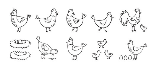Hand drawn cute hen chickens set. Doodle farm chickens sketch style. Funny outline domestic birds, poultry concept.