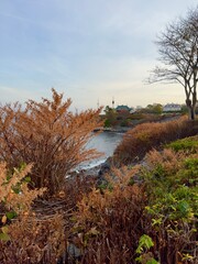 Newport, Rhode Island's Cliff Walk with autumn coastal landscape with foliage and ocean