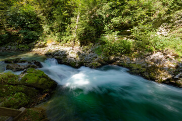 River in the mountain. Vintagar Gore Slovenia. Triglav National Park.
