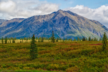 Fototapeta premium Rugged Mountain and plain