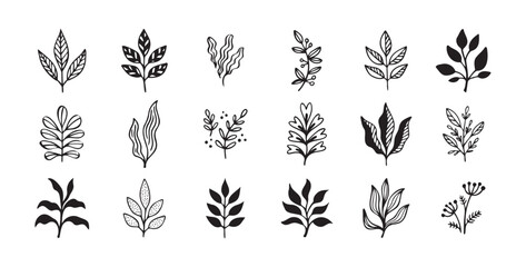 Hand drawn outline doodle floral elements leaf set. Plant leaves vector design