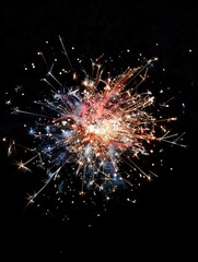 Fototapeta premium Fireworks lit up in darkness