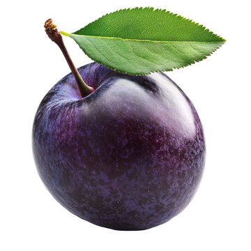 Fresh plum with green leaf on white