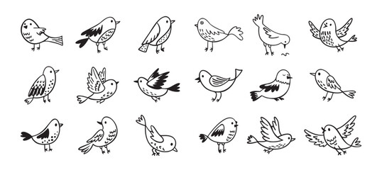 Bird doodle set. Birds hand drawn collection. Cute hand drawn bird doodles. Black on white drawing